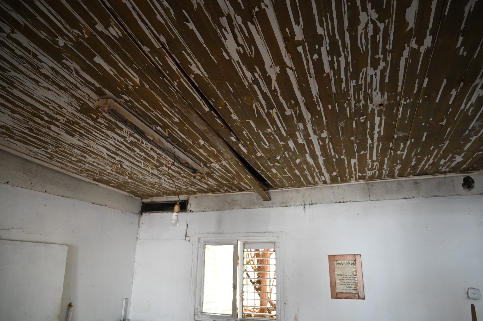 WhatsApp Image 2022-09-07 at 7.51.42 PM.jpg